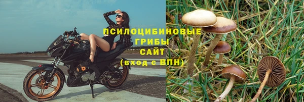 PSILOCYBIN Волоколамск